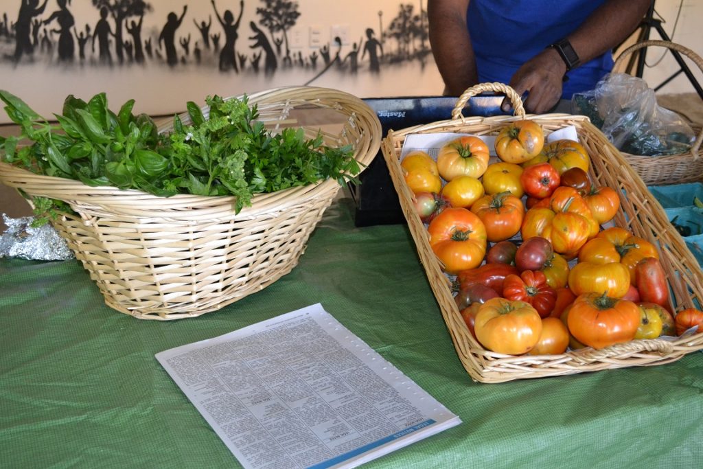 Pop-up market vendor at Bronx Summer Fest 2016.