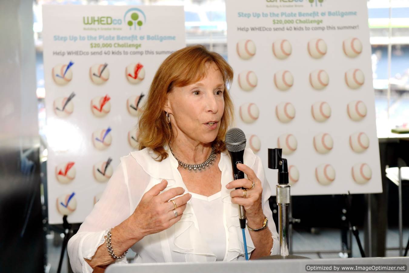 nancy biberman at benefit and ballgame 2016